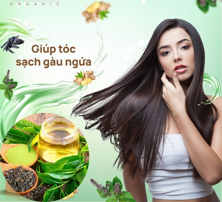 Công nghệ gia công dầu gội đầu trà xanh- Bí quyết cho mái tóc khỏe đẹp