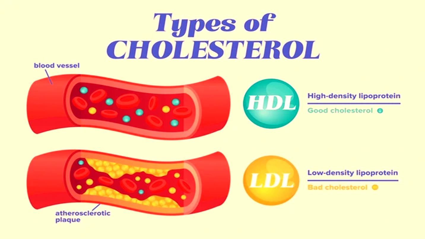 Atorvastatin vs on Rosuvastatin Difference Statin