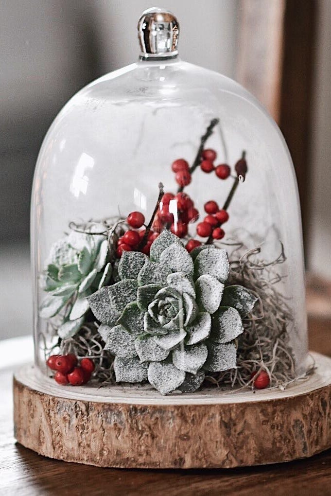 succulent christmas centerpiece diy christmas centerpieces