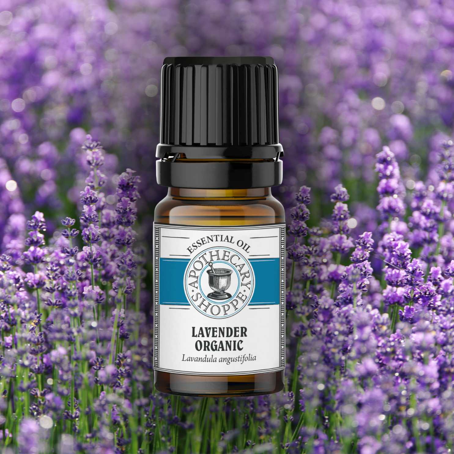 Lavender Essential Oil