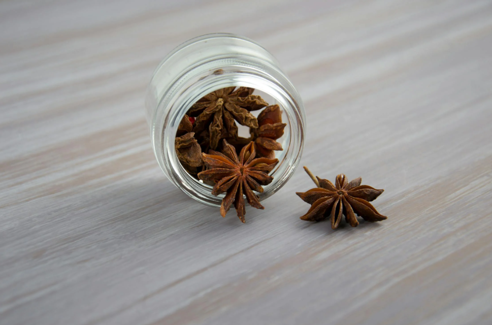 star anise benefits