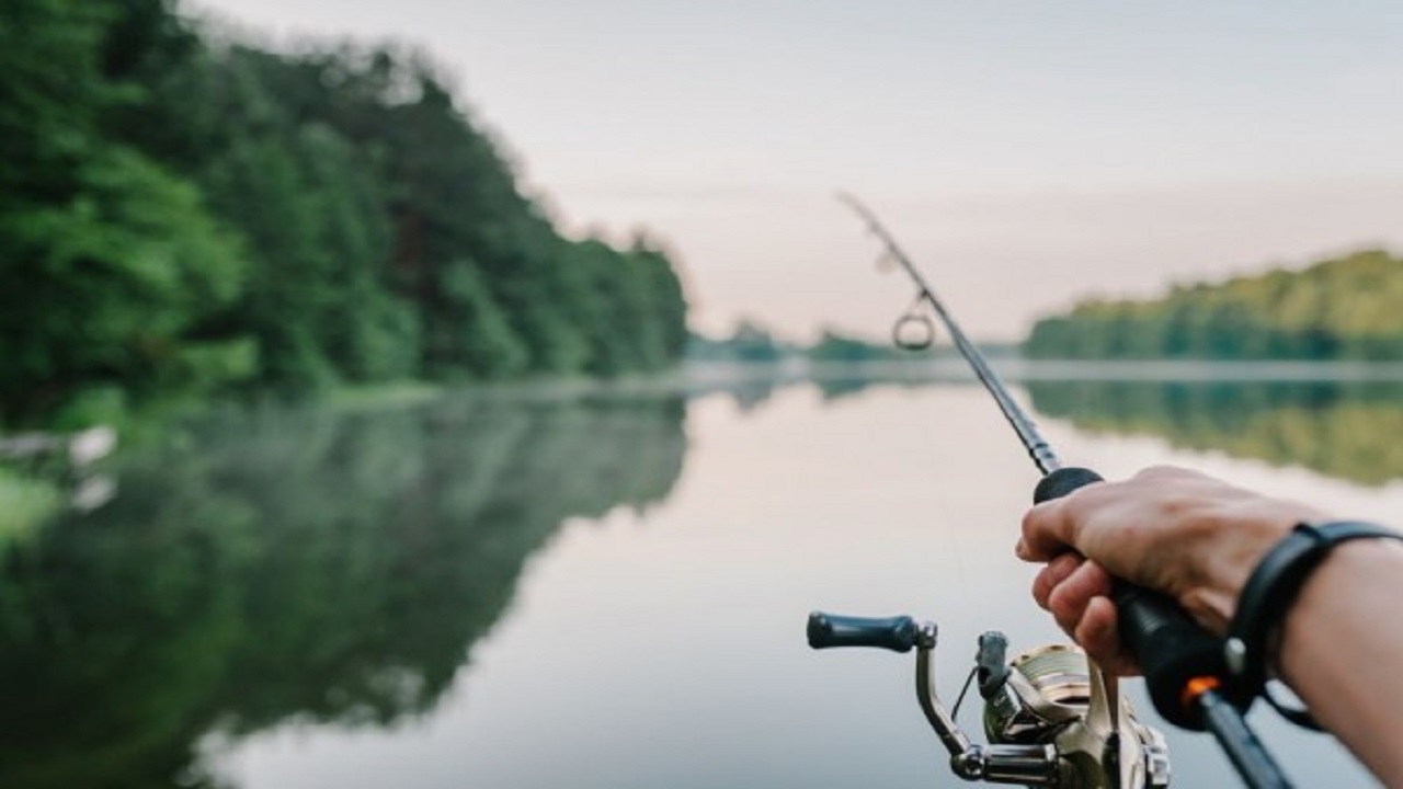 Mancing Ikan Kolam: Tips Sukses Memancing di Kolam Pancing