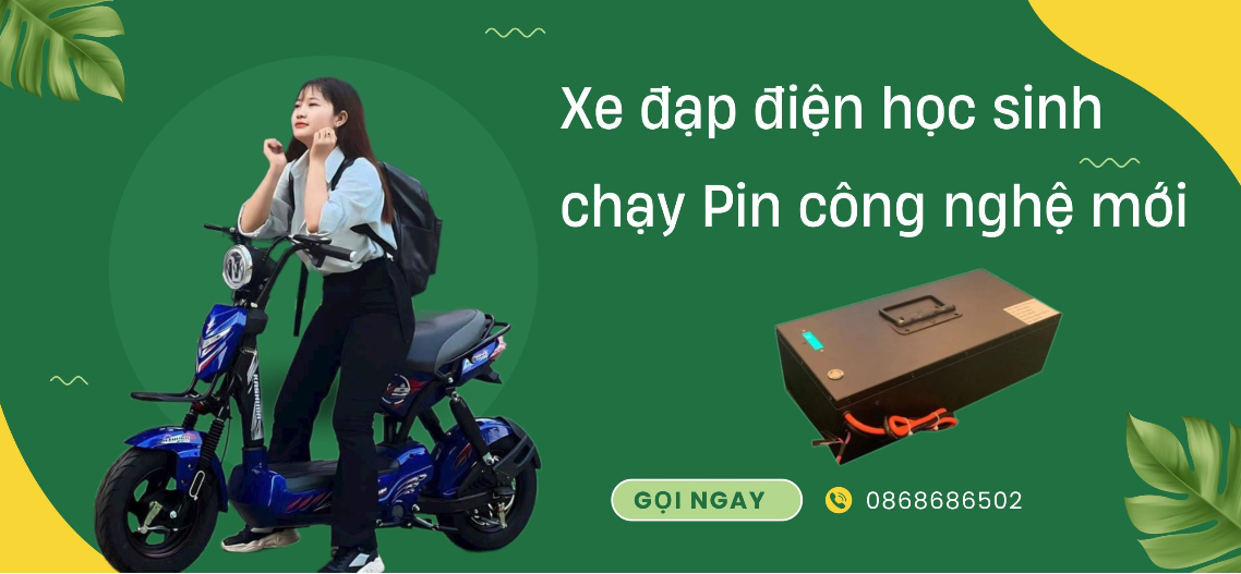 Địa Chỉ Bán Xe Đạp Điện, Mua Xe Đạp Điện Cũ Tại Hà Nội và TP.HCM