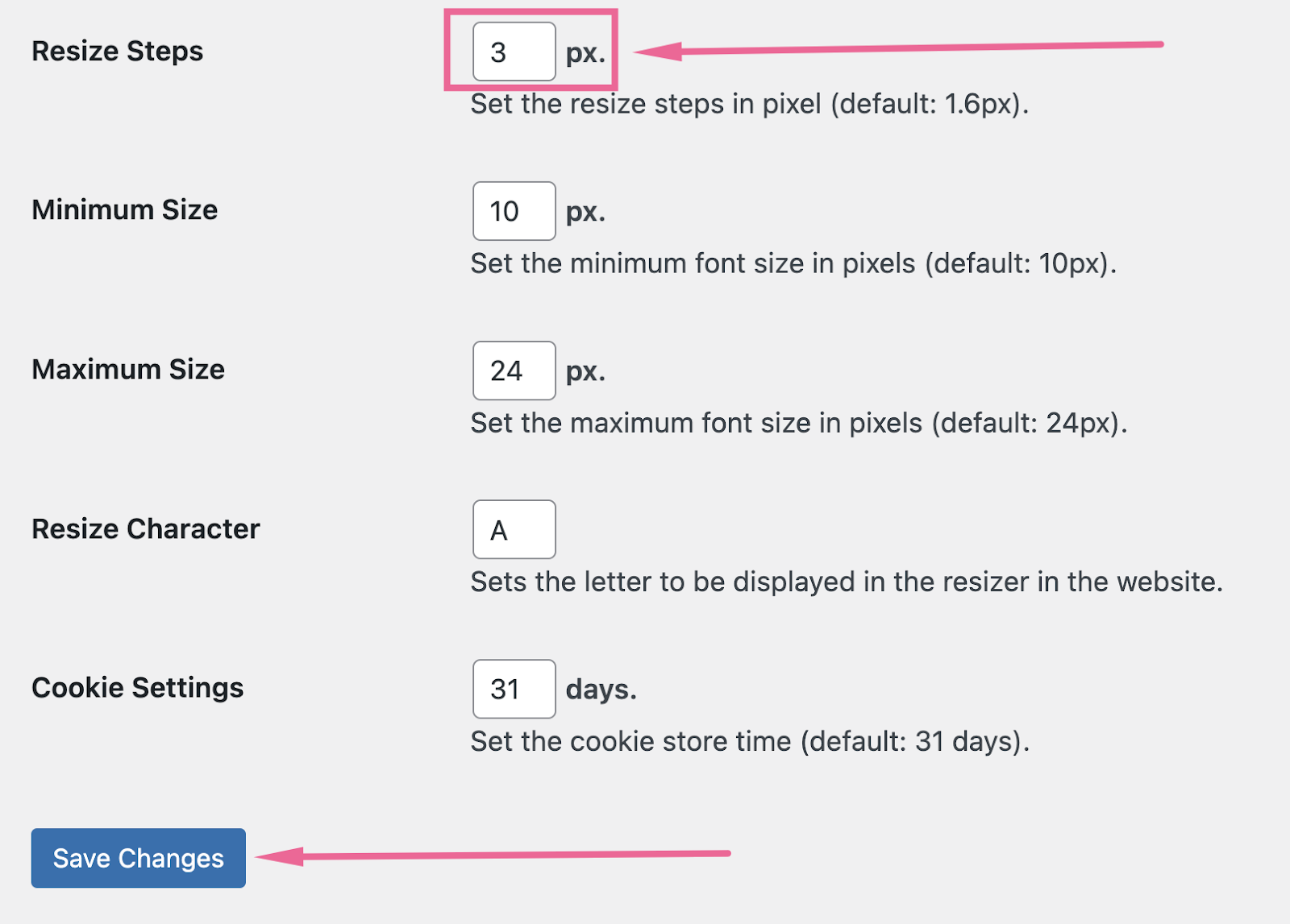 Opciones de configuración en el plugin de WordPress Zeno Font Resizer