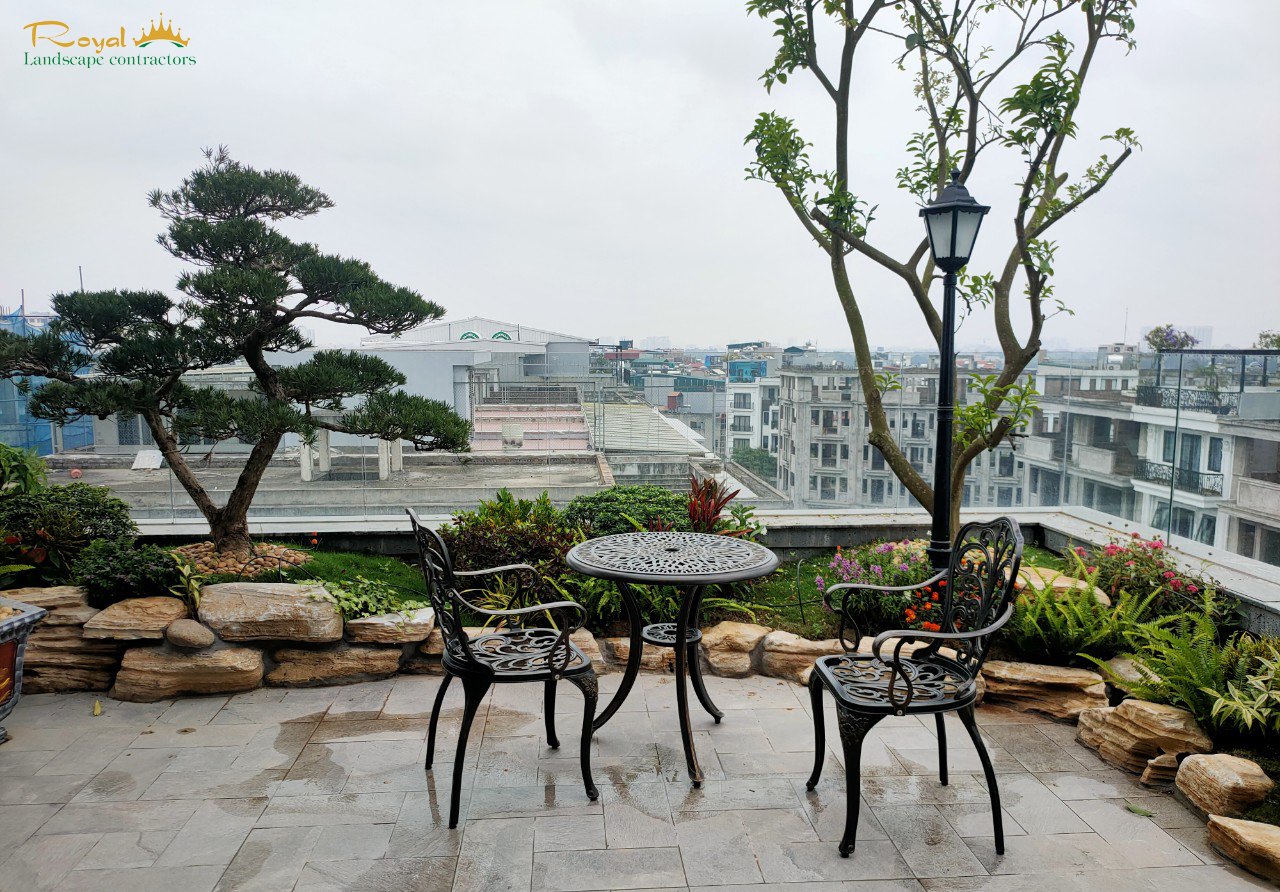 Dự án chị Dương