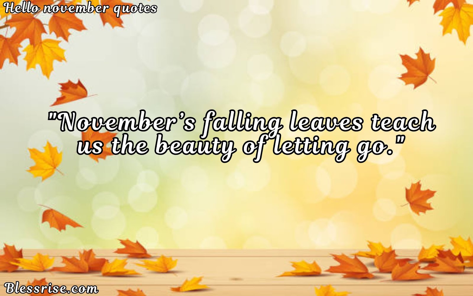 November quotes
