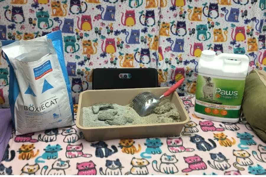 Boxie Cat Litter Reviews: Uncover the Purr-fect Choice!