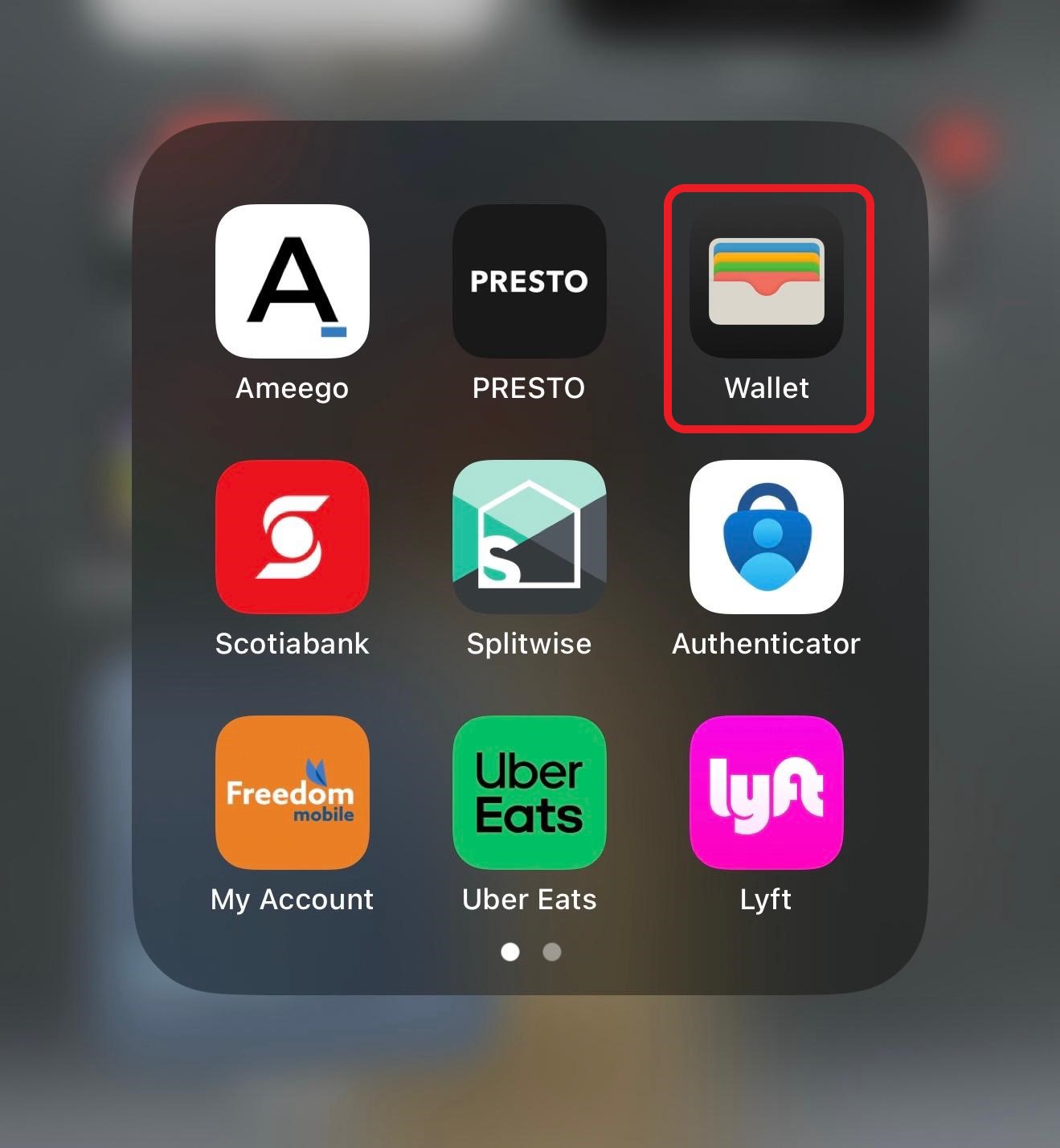 apple wallet