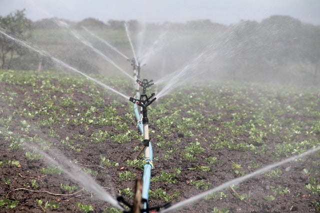 Irrigation sprinkler