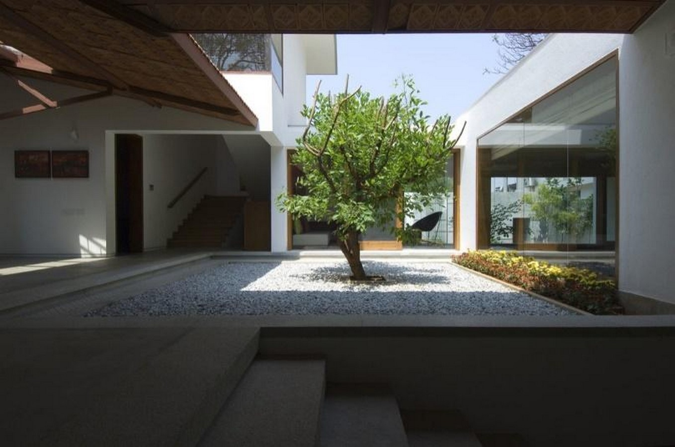 Minimalist interior courtyard designed with Vastu principles, featuring a small tree centered in a gravel bed.