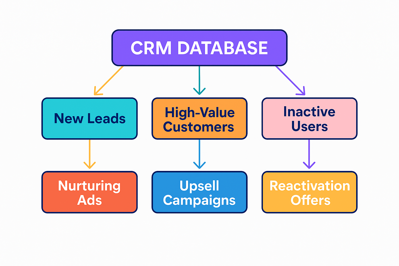 Colorful CRM audience segmentation flowchart showing paths from "CRM Database" to audience types and corresponding campaign strategies