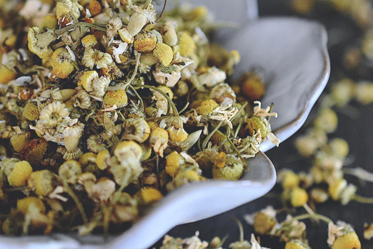 Chamomile and back tea for sunburn