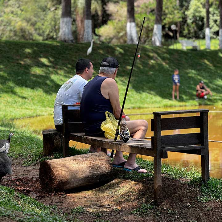 Dois homens pescando em um lago tranquilo, sentados em um banco de madeira, enquanto um pato passa ao fundo.