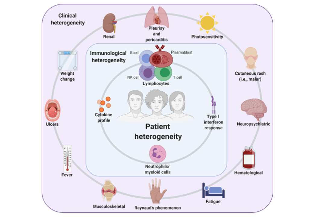 Heterogeneity in SLE