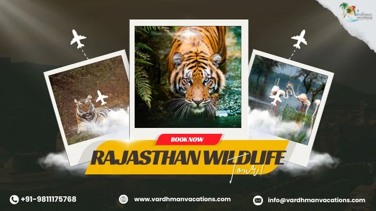 Rajasthan Wildlife Tour