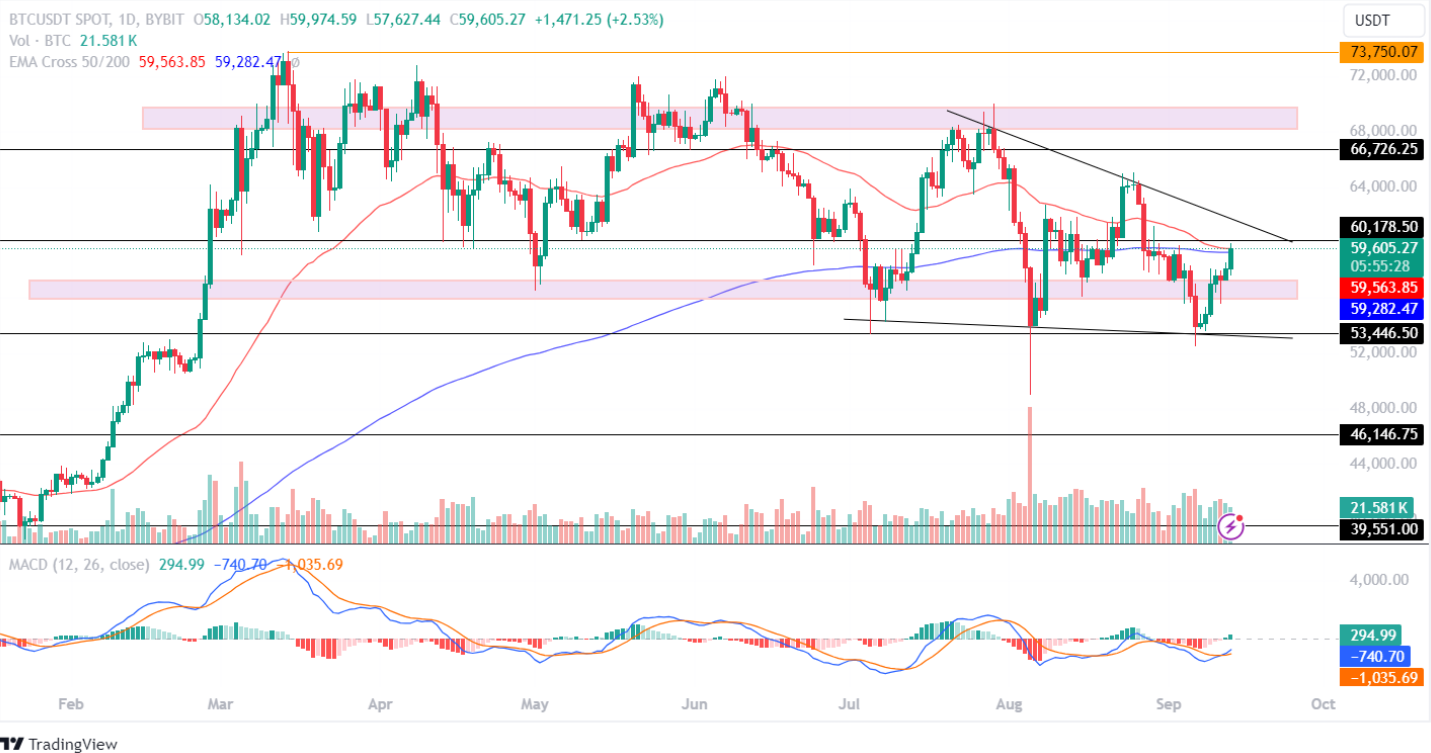 Bitcoin Price Analysis September 2024