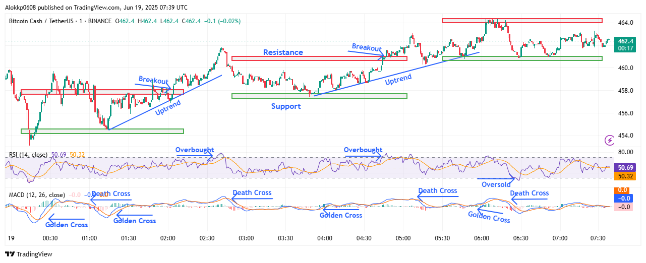 BCH/USDT M-1 Chart, Analyzed by Alokkp0608, published on June 19th, 2025.