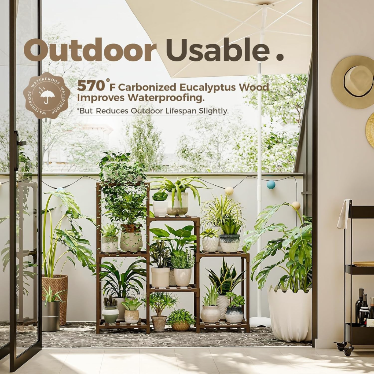 Indoor Plants for Arizona's Desert Climate