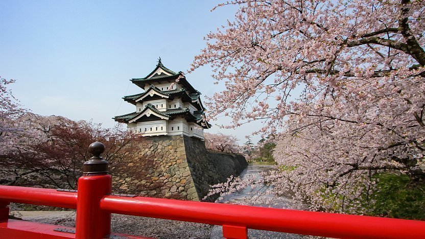 Công viên Hirosaki ở Tỉnh Aomori là điểm ngắm hoa anh đào đẹp nhất miền Bắc Nhật Bản (Ảnh: Internet)