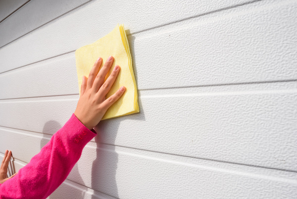 16x8 Garage Door Cleaning