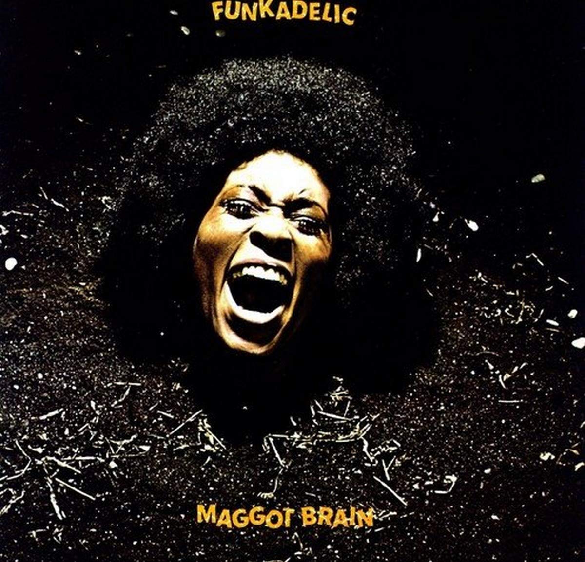The cover of Funkadelic's "Maggot Brain"
