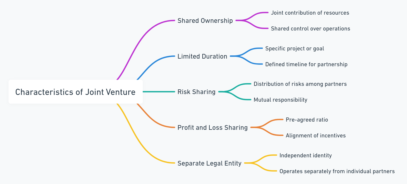 characteristics of the joint venture