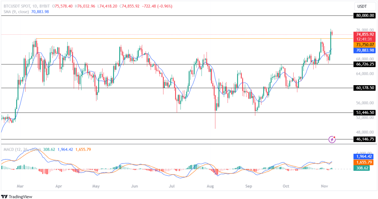 Bitcoin Price Analysis 07th November 2024