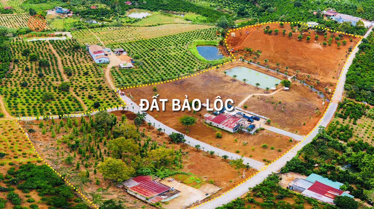 Thị trường bất động sản Bảo Lộc. Đất Bảo Lộc vuông vức, view thoáng 