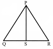 CBSE Class 6 Maths Basic Geometrical Ideas Worksheets 8