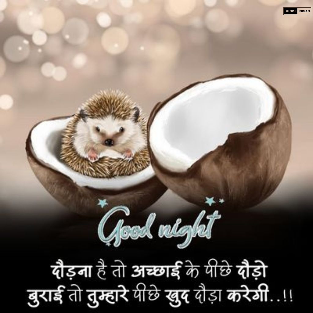 Good Night Quotes in Hindi [HD Photos] | शुभ रात्रि सुविचार