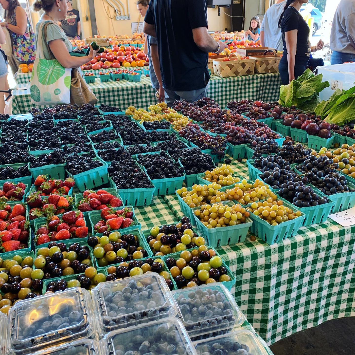 Charlotte Regional Farmers Market
