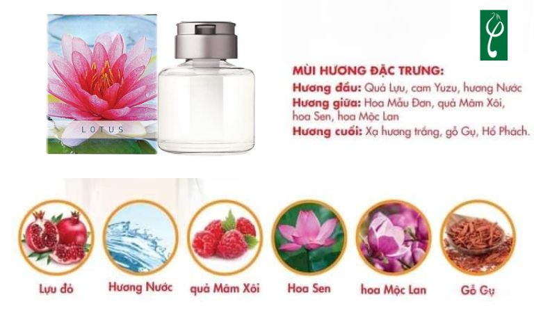 Thành phần phổ biến trong nước hoa hương sen