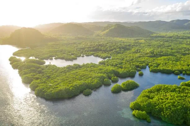 25 Photos That Celebrate the Wild, wild nature, untamed landscapes, nature, landscape, outdoor freedom, earth rawness