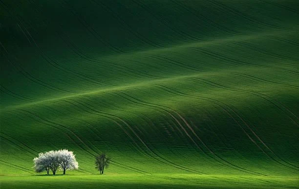 Wander Through Wilderness in 20 Peaceful Images, wilderness photos, peaceful wild, nature, landscape, nature hiking, outdoor quiet