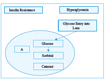 Aldose reductase