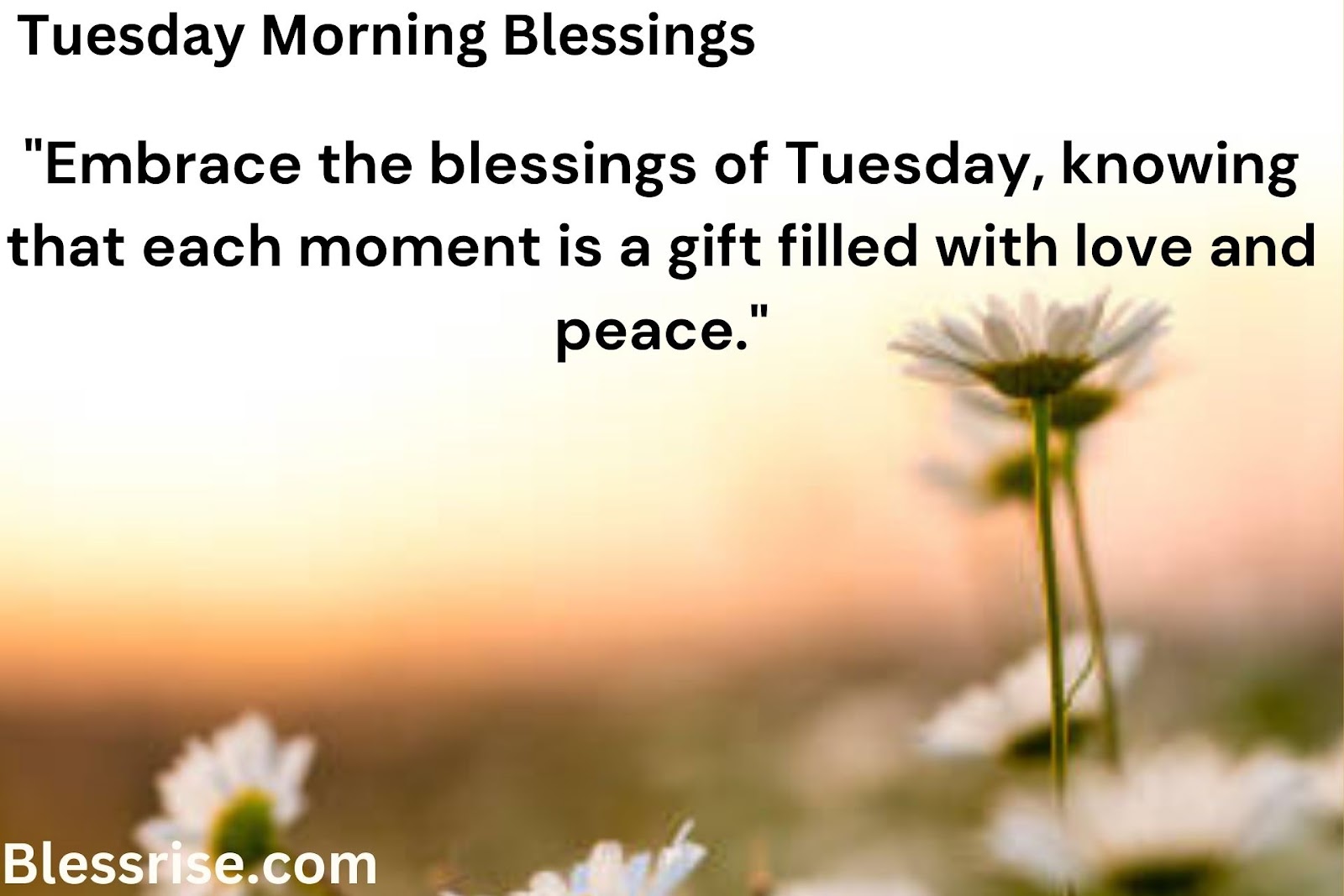 : Blessed Tuesday Connections