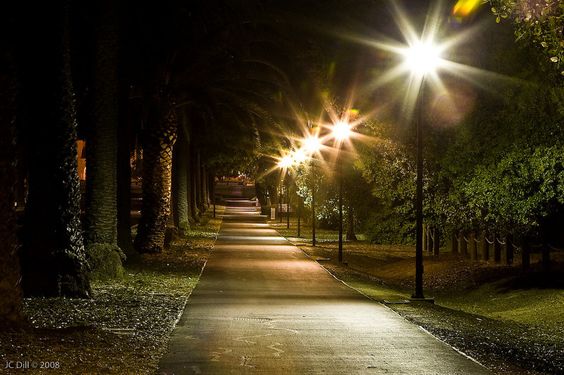 the image displays solar light poles street