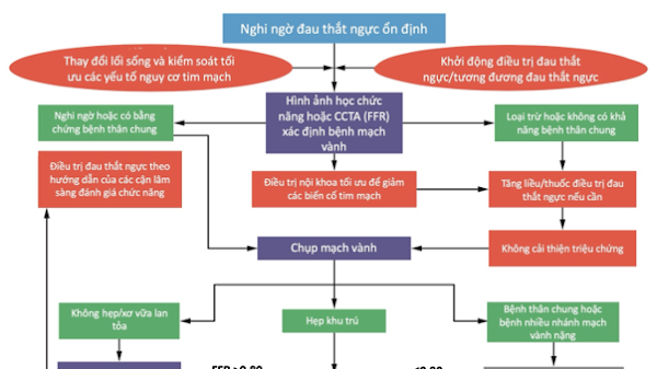  Đau thắt ngực trong bối cảnh mạn tính: Một vấn đề chưa từng đơn giản