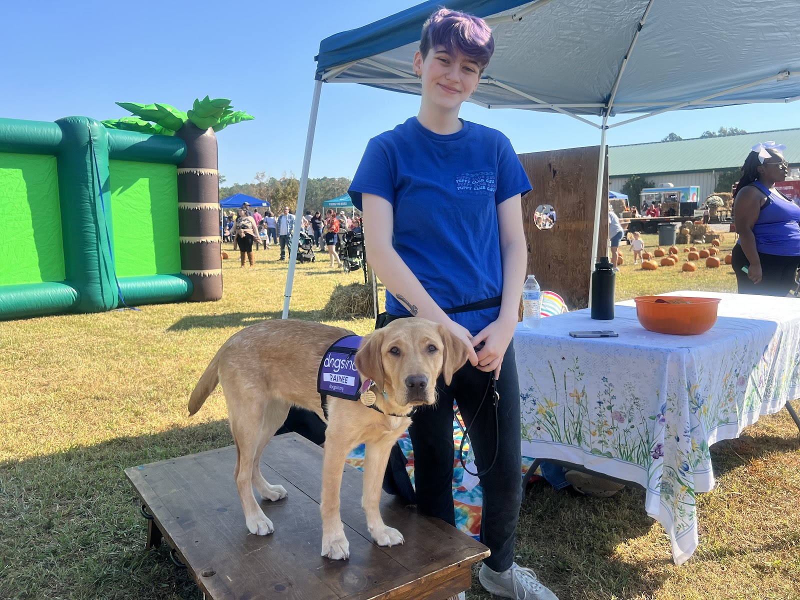 service puppy