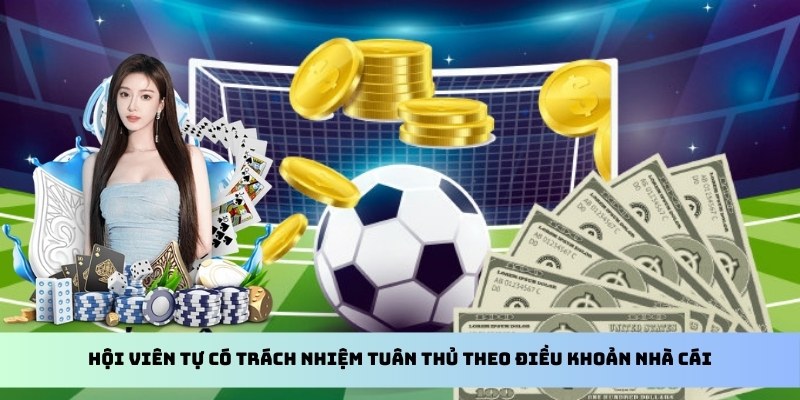 Hội viên tự có trách nhiệm tuân thủ theo điều khoản nhà cái