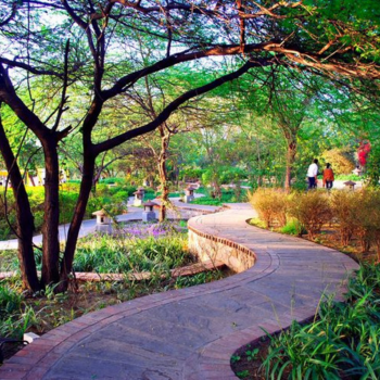 Top 5 Romantic Places in Delhi for a Perfect Date