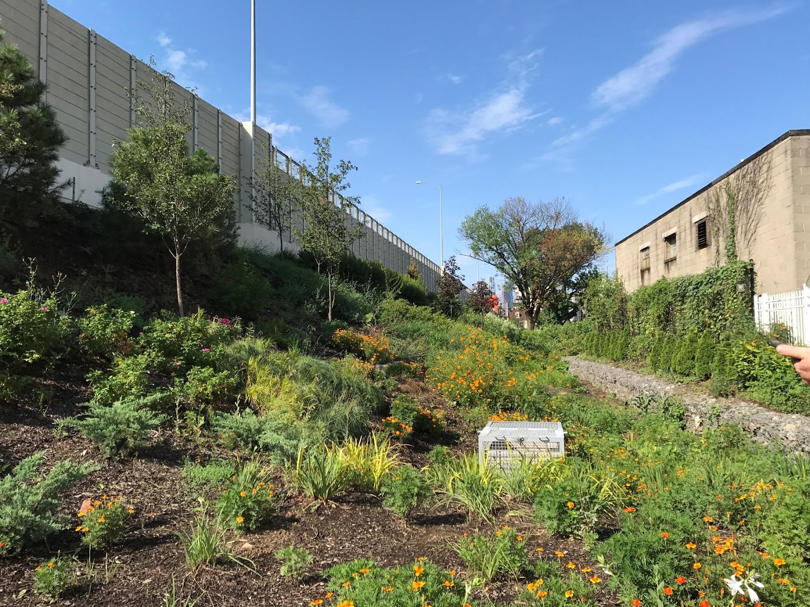 Those surprising gardens along I-95 in Fishtown? They'll manage Olympic amounts of stormwater