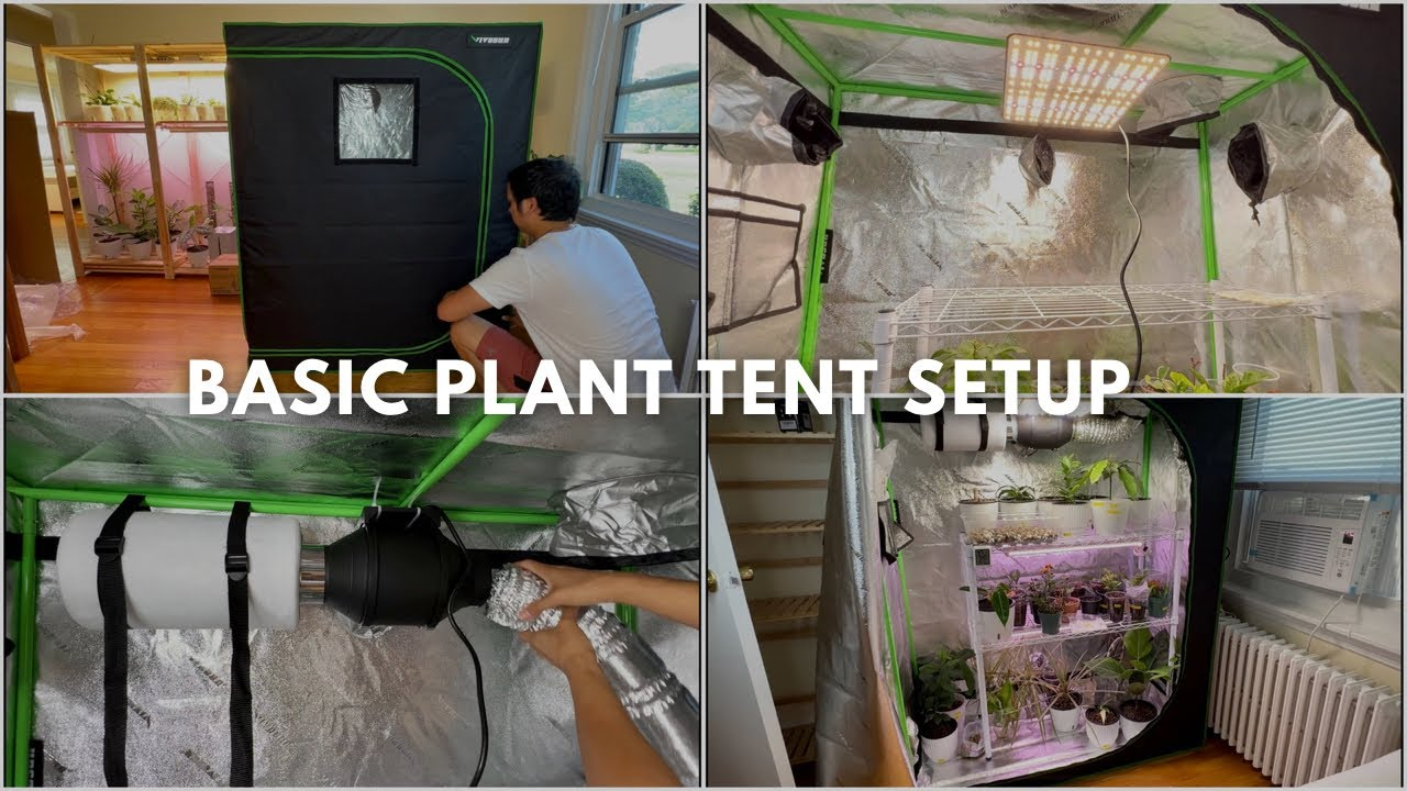 Set up a Grow Tent Effectively