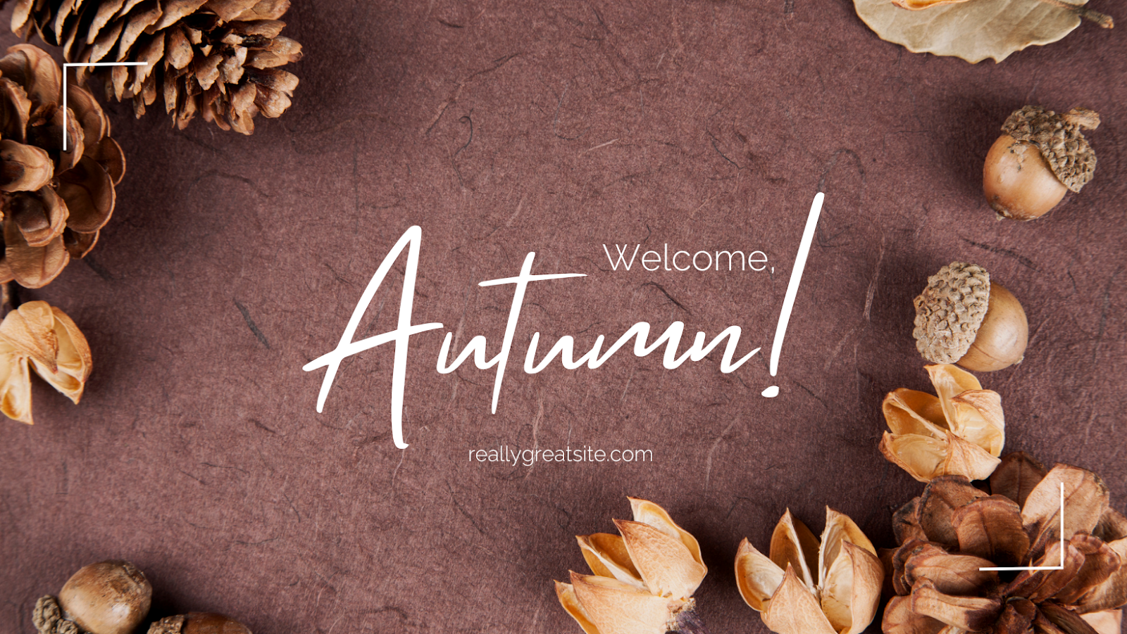 Autumn cover with acorns