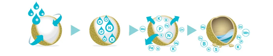 Working of Ozma Coated Fertilizers