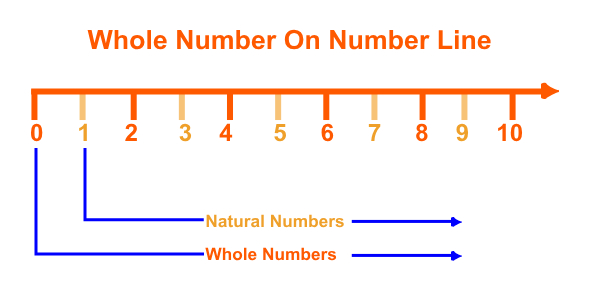 Whole numbers on Number line