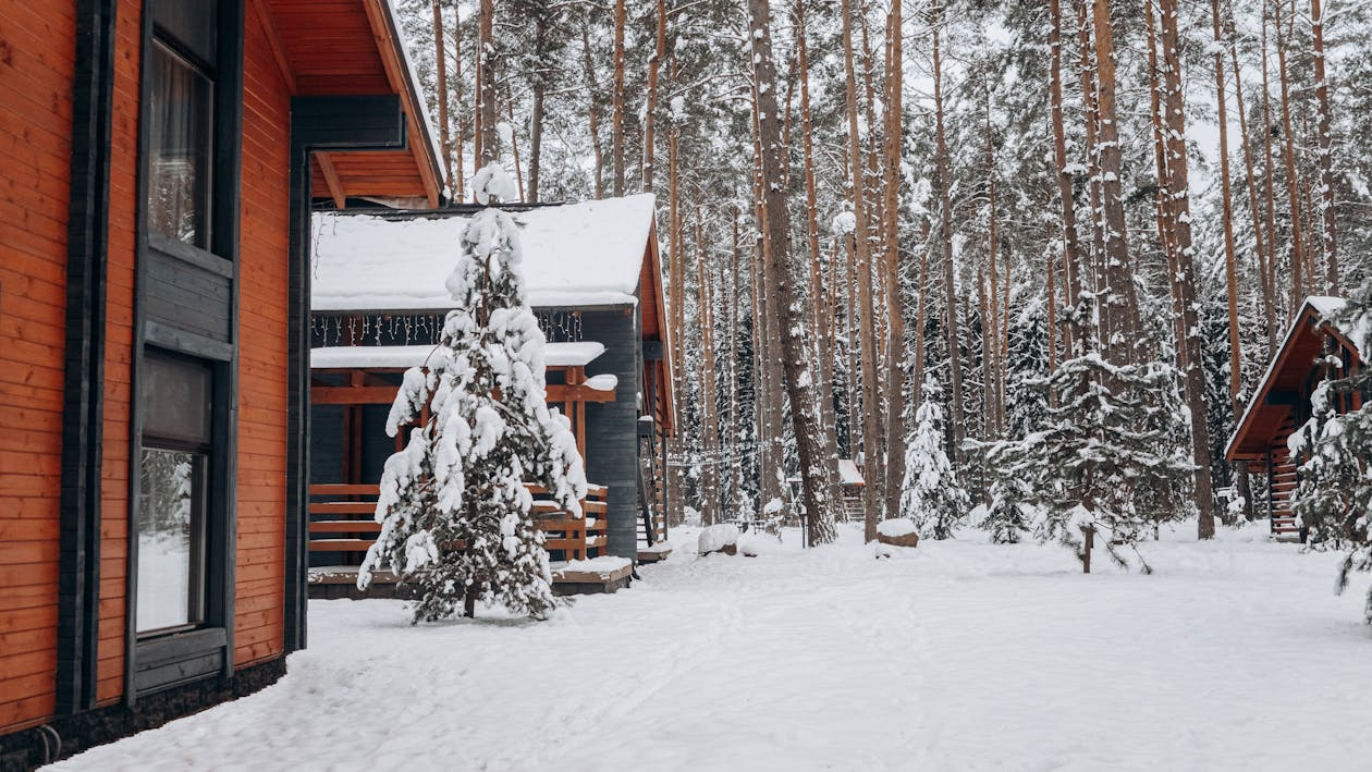 Exterior of a home surrounded by a snowy landscape, with trees blanketed in snow.