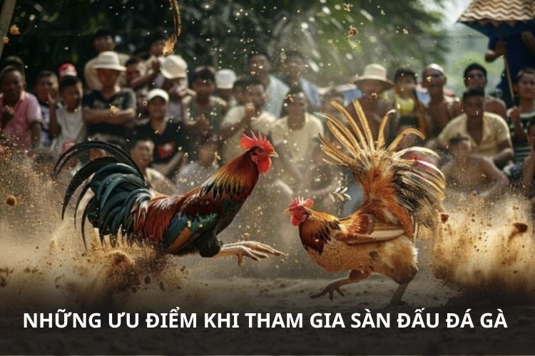 Những ưu điểm khi tham gia sàn đấu đá gà 77WIN