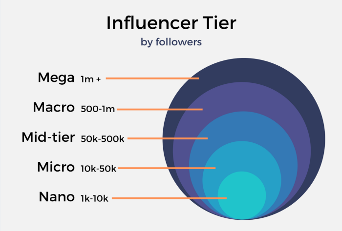 Influencer Tiers: 5 x Influencer Marketing Tiers You Need To Know ...