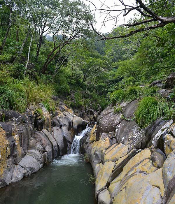 Parque Nacional El Imposible, El Salvador - Pateperro